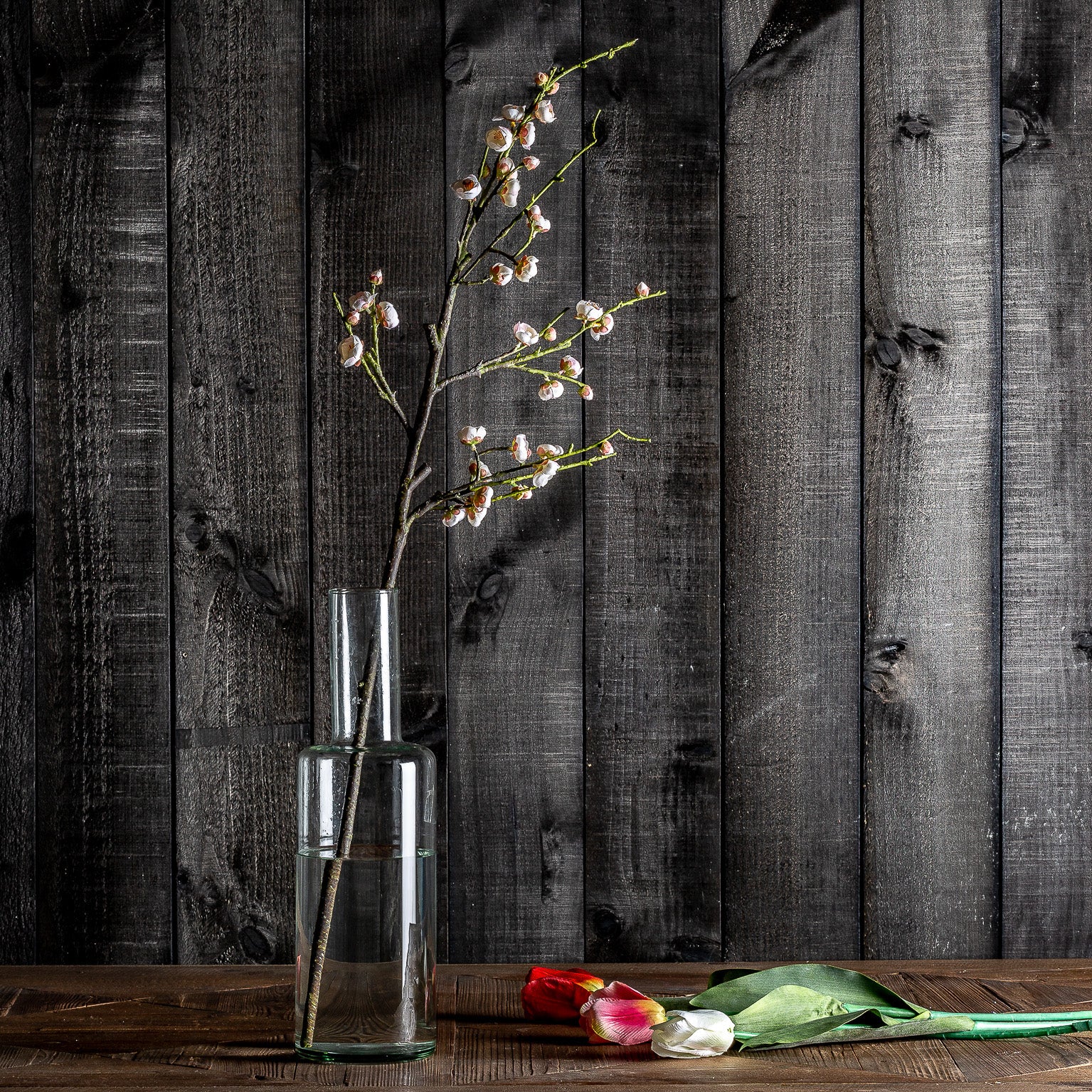 TULIPAN FLOWER